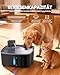 Kittyspout Trinkbrunnen für Hunde Kabellos, 8L Grosse Hundebrunnen Katzenbrunnen mit Bewegungsmelder, Hunde Trinkbrunnen Kabellos mit Akku 4000mAh, mit Leiser Pumpe und Aktivkohlefilter