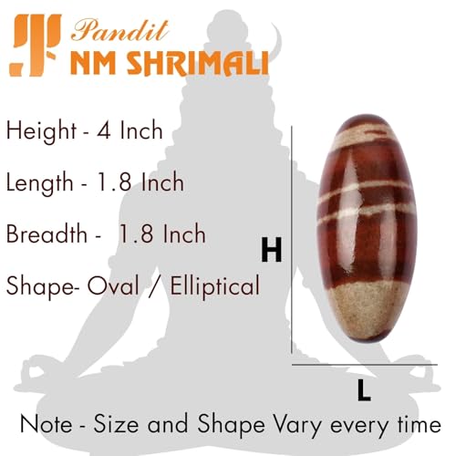 Image of PANDIT NM SHRIMALI Original 4 Inch Narmadeshwar Stone Shivling | Natural Banalinga Lingam for Puja, Vastu, and Meditation | Holy Stone from Narmada River