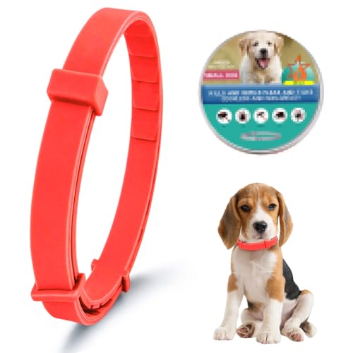 CWED 1 Pieza Collar Antiparasitario Perros,Ajustable Anillo de Desparasitación, Apto para Perros Pequeños,Universal para Perros y Gatos (Naranja)
