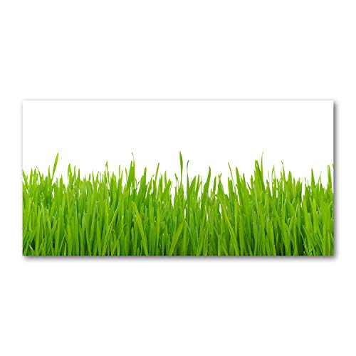 Impression sur verre fleurs et plantes : sublimez votre salon avec l'herbe - 2