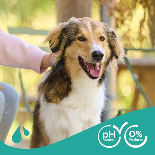 BEAPHAR - Hundeshampoo Fell-Glanz Für Hunde Aller Rassen - Hautfreundlich - Mit Macadamiaöl Und Aloe Vera - 0% Parabene - Frischer Duft - Vegan - 250 ml