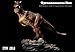 ITOY 1/35 Brown Tyrannosaurus Rex Model Rexy T-Rex Statue Realistic Jurassic Dinosaur Figure PVC Toys Collector Decor Gift for Adult