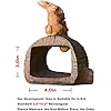 Amazon.com: Elenon Rabbit Decorative Gutter Downspout Extension Statue ...
