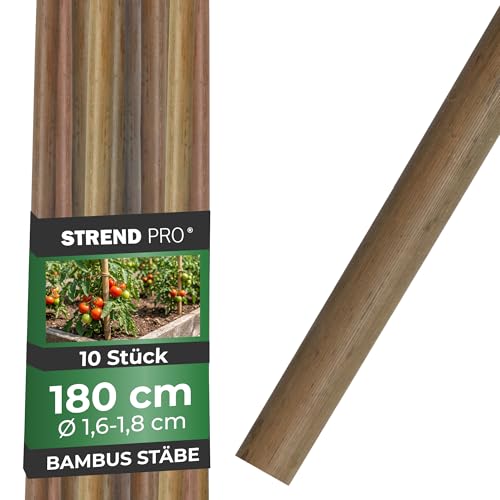 STREND PRO Bambusstäbe 180 cm - 10er Set | Ø 16-18 mm Natürliche Holzstäbe | Pflanzstäbe & Rankhilfe für Tomaten & Kletterpflanzen | Pflanzenstütze aus Naturbambus | Stab | Bohnenstange Tomatenstäbe
