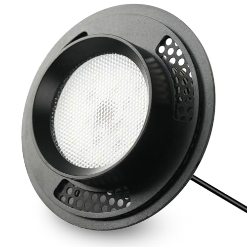 AREPK Glass Terrarium Plant Growing Lamp, for Vases Up to 4 Inches in Diameter, Light with Timer Auto On/Off, Indoor Plant Growth, Succulent, Miniature Gardening Landscape (5W 4IN)