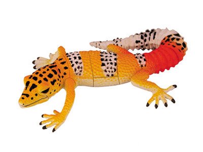 Ukenn Animals Figures Puzzle Blocks, 4Pcs 3D Animal Puzzles Preschool Toy Figure Playsets Brain Teaser Puzzles, Assembly And Disentanglement Puzzles #TOP2