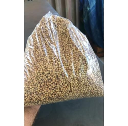 Coentro em Grão para Consumo,Plantio,Natural do Norte de Minas Gerais 300g