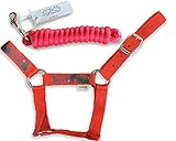 HalterUp Miniature Horse Halters and Lead Ropes (2 item bundle) available in 10 colors (Red, Medium)