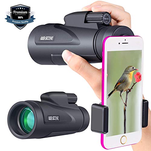 Best Telescope With Low Lights
