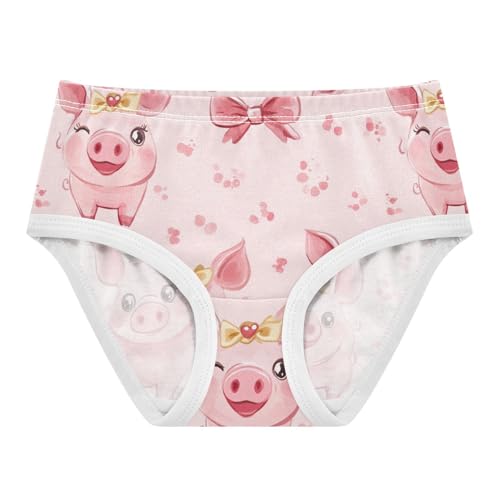 Wusikd Cute Pigs Princess Girls' Underwear Cotton Bow Girls Briefs Soft Toddler Underwear 2T