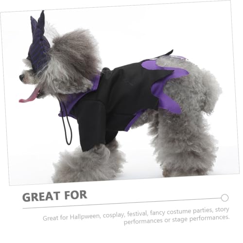 Disfraz Halloween para Perro Tamaño L, Sombrero Bruja miniatura 7
