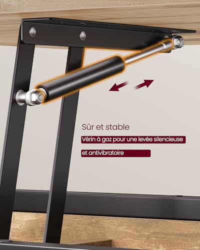 Table Basse Relevable Industrielle Rangement, VASAGLE