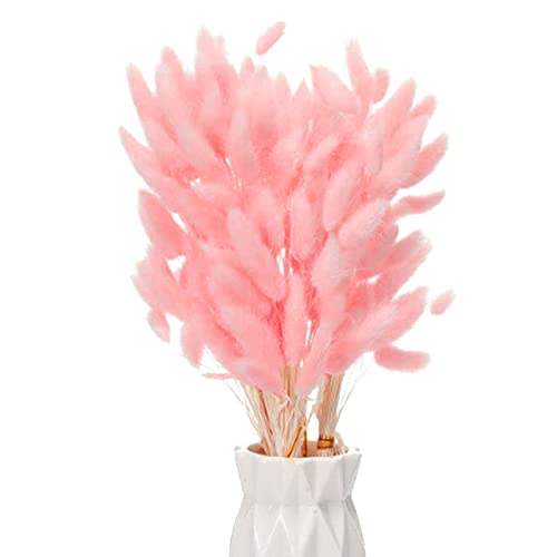Snowtain 50 peças de coelho flores secas ramos de flores secas, flores secas naturais ramo de flores secas e esponjas pampas flores secas ramo de flores secas Phragmites (40 cm rosa)