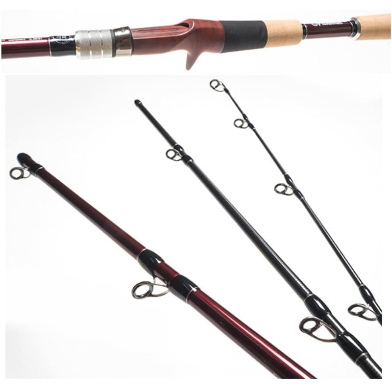 Amazon | Fishman(フィッシュマン) B.C.4 BRISTCompact 5.10MXH