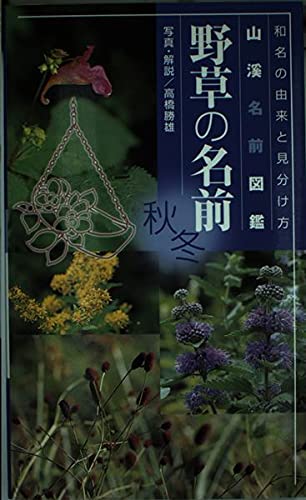 野草の名前秋・冬―和名の由来と見分け方 (山渓名前図鑑) | 高橋 勝雄