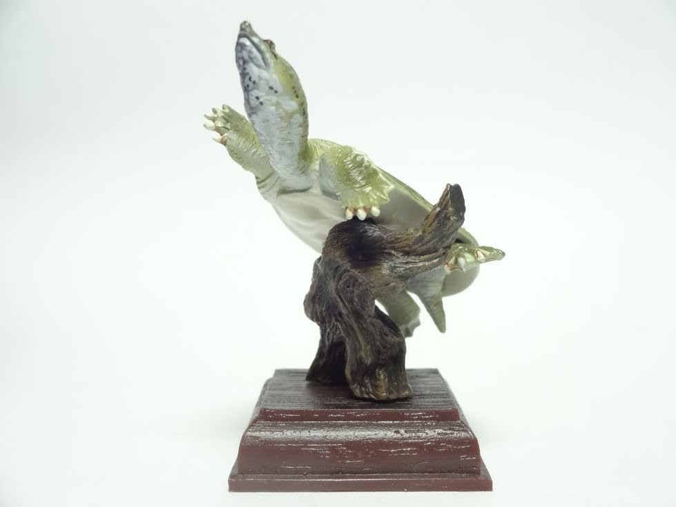 Amazon | 「ネイチャーテクニカラー 日本のカメ」シリーズ スッポン