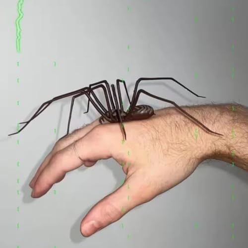 2 Imán Araña 3D Realista para Refrigerador miniatura 7