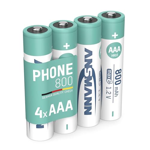 Ansmann Scatola per batterie di alta qualità per 4 batterie Mignon AA o Micro AAA e batterie per protezione e trasporto