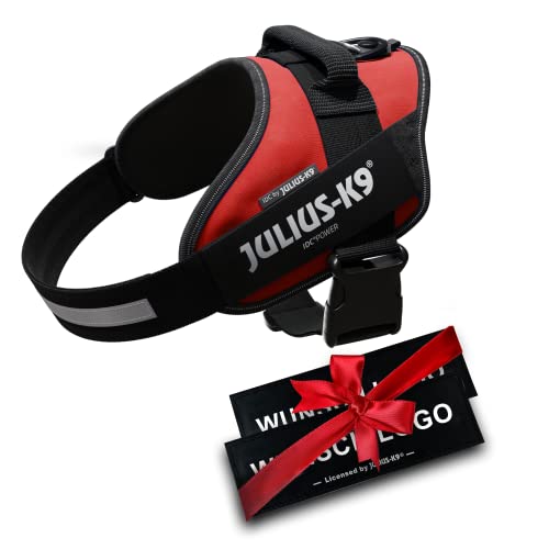 JULIUS K-9 IDC Powergeschirre Rot mit individuelle Klettaufschriften Bundle optionale Größe, 16IDC+CUSTOMP-R, Kleine, mittelgroße, und große Hunde