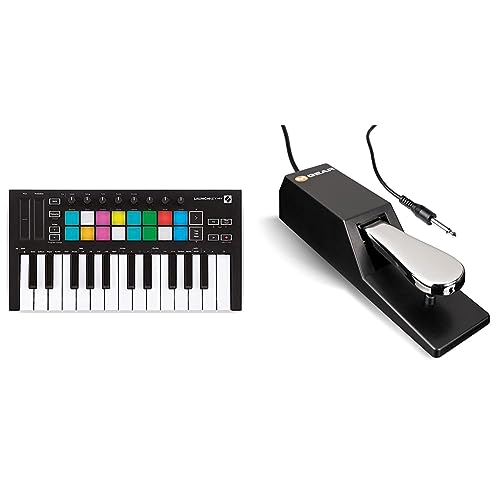 Clavier maître MIDI USB 25 touches Novation Launchkey Mini MK3 + pédale M-Audio SP-2