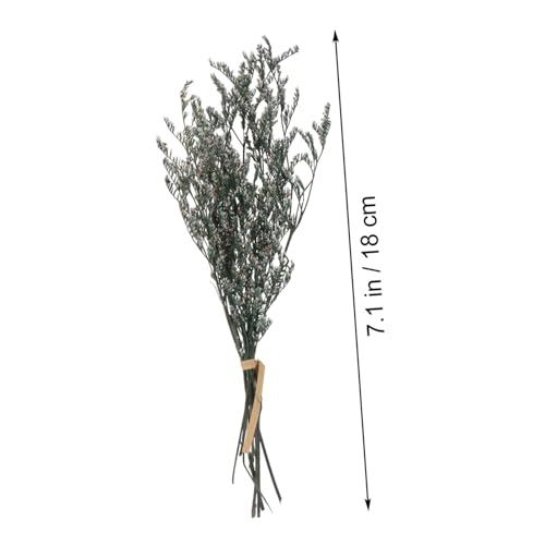 Ramo de flores secas Gypsophila para decoración miniatura 5