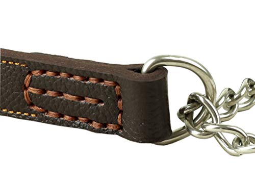 Tellpet Leather Dog Martingale Choke Collar For Medium Dogs, Brown #TOP7