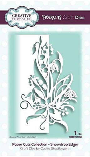 creative Expressions Craft die, argento, 14.5 x 8.6 cm