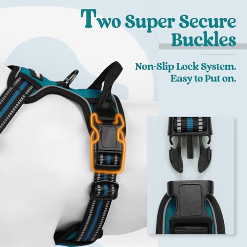 Image of rabbitgoo Dog Harness No Pull with 2 Leash Clips, Adjustable Soft Padded, Reflective Oxford No Choke Pet Vest with Easy Control Handle for Large Dogs, Blue Coral, XL | No Choke, Adjustable, Breathable Padded, 2 Lead Rings, Reflective, Easy Control for Walking Training, XL, Blue Coral