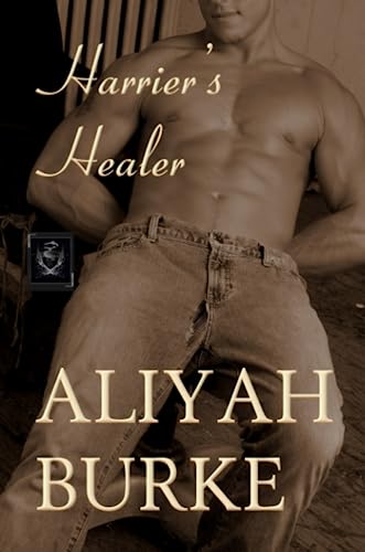 Harrier's Healer view 2