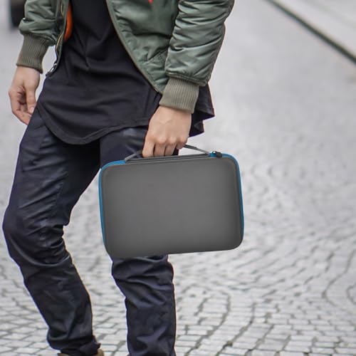 Batterie Aufbewahrungsbox Box, Batteriekasten Koffer mit Batterietester BT-168, Batterie Organizer Hält 161+ Batterien AA AAA C D Cell 9V 3V Lithium LR44 CR2 CR1632 CR2032 - Grau -Nur Fall