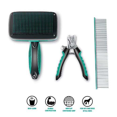 Oster Flea and Tick Shampoo with Oatmeal 3.29 (REG 9.99