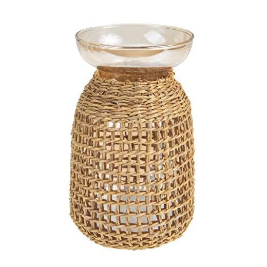 HANABASS Glas Vas Med Nät Modern Bondgård Dekorativt Glas Vas Rattan Tråd Inslagna Blomma Vas För Mittpunkt Kreativt Rep Netto Torr Blomma Glas Vas För Bondgård Dekoration Gult