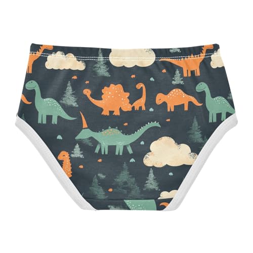 Wusikd Dinosaurs Clouds Girls' Underwear Cotton Trees Black Girls Briefs Soft Toddler Underwear 2T2