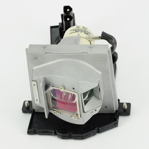 WEDN Replacement Projector Lamp Module Bulb with Housing PQ484-2401 / BL-FU190C For OPTOMA BR320/BR325/DS328/DS330/DX328/DX330/H100/S2010/S2015/S302/S303/W2015/W303/X2010/X2015/X302/X303