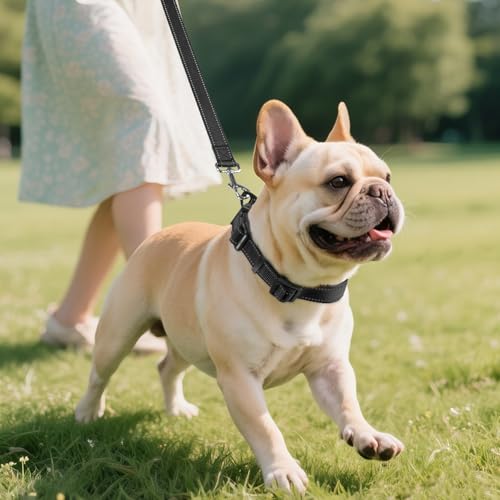 image for Joytale Reflective Dog Collar,Soft Neoprene Padded Breathable Nylon Pe