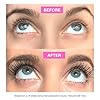 Show-Lash-Eyelash-Growth-Serum-for-Longer-Thicker-Gorgeous-Looking-Lashes-Irritation-Free-Eyelash-Serum LeVaye Cosmetics Show Lash Eyelash Serum for Longer, Thicker, Gorgeous Looking Lashes, Cruelty Free Lash Serum