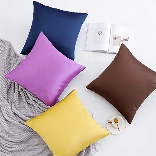 Ntbay Zippered Satin Square Throw Pillow Covers, 2 Pack Luxury Hidden Zipper Decorative Euro Pillowcases, 18X18 Inches, Coral Pink #TOP5