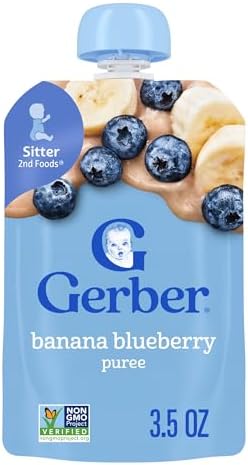 Banana Blueberry Puree