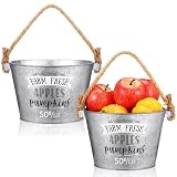 Honeydak 2 Pcs 8x5.5'' Fall Galvanized Bucket Metal Bucket with Rope Handle