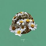 Divine Spirit (accomplishment. Austin Sebek).