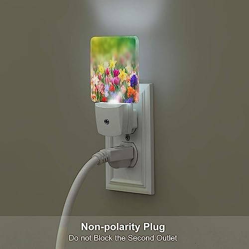 Lámparas de noche LED con sensor automático 2 piezas miniatura 5
