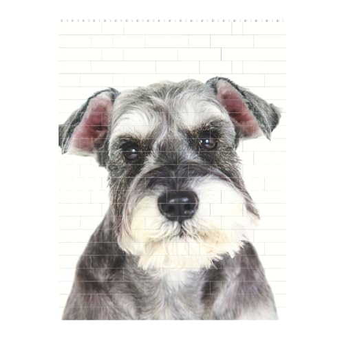 ~j`AViEU[ ςݖ؃pY WO\[pY mߋ  l q NX}X a 16.7x22.3cm