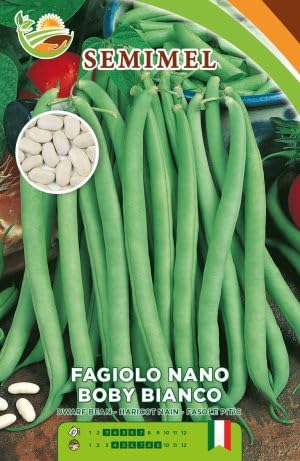 Fagiolo Bobi Nano - Semi di Fagiolo Mangiatutto Precoce, Alta Resistenza, 100g 3 confezioni