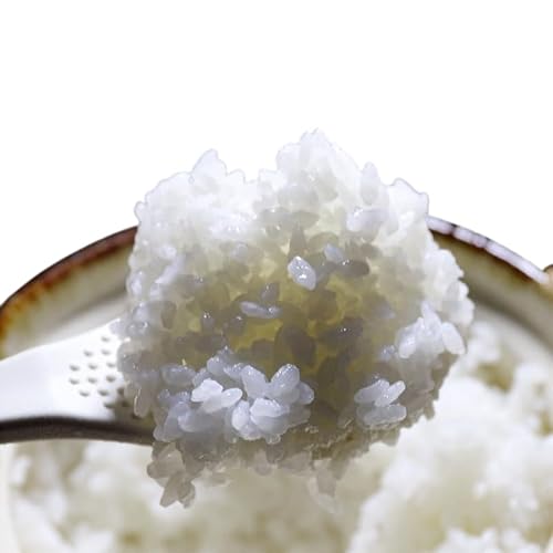 令和8年産 先行予約 上越市産みずほの輝き 5kg×6回定期便 新米 精米 新潟 米 新潟県 みずほの輝き 定期便 米ヴィレッジさんわ