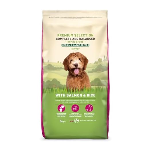 Lifelong Adult Hundefutter mit Lachs und Reis