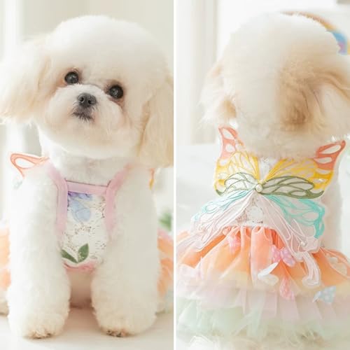 Disfraz Hada para Gatos y Perros Pequeños 3XL miniatura 3