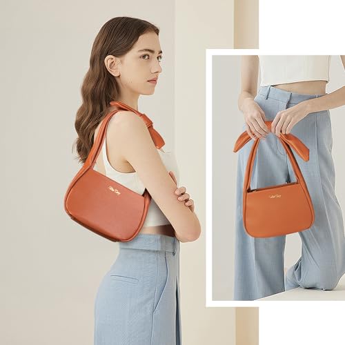 Viva Terry Hobo Hand Bag for Womens, Small Vegan Leather Hobe Handbag Shoulder Purses for Women with Zipper2