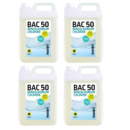 Will a pressure washer remove mold