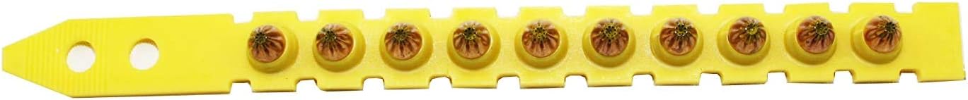 Powder Actuated Fastener Cartridge - .27 6.8/11 M Short - Strips of 10 - Yellow - Medium - Pack of 100 - 50352