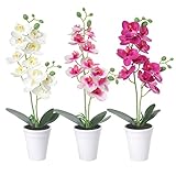 Dremisland 3 Piezas Orquídea Flores Artificiales Falsas de Tacto Real Decoración Falso Phalaenopsis Flores en Macetas para Interior Exterior Jardín Porche Ventana Caja Casa Boda Granja